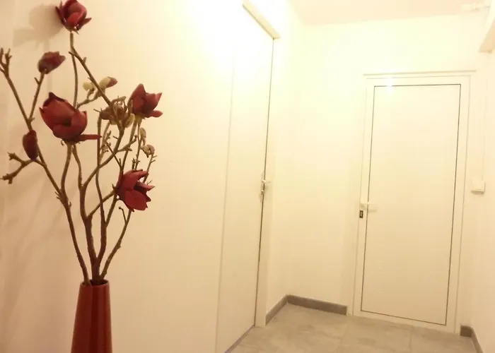 Meuble Centre Bastia (Corsica)